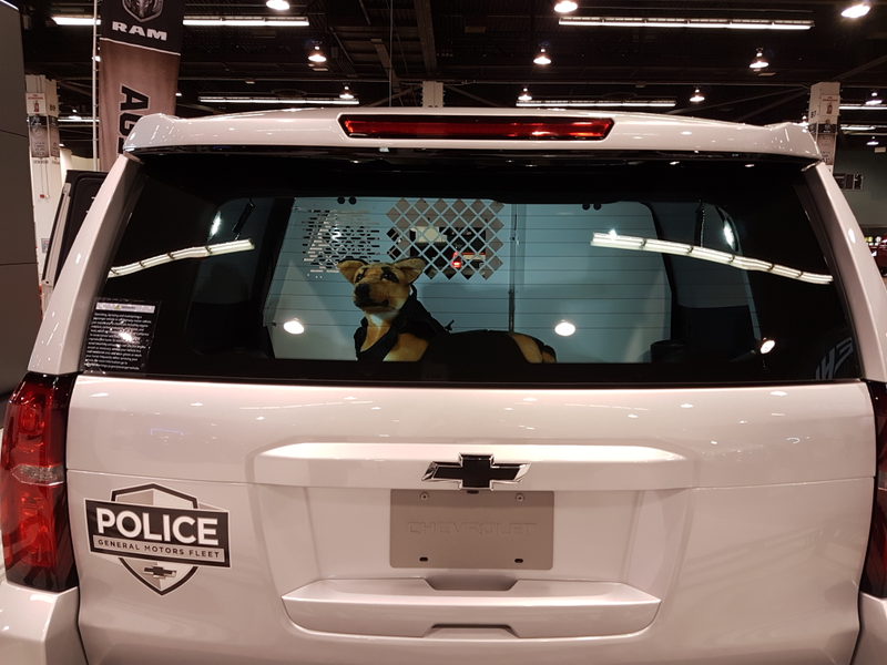 They added a section for work trucks. Very practical